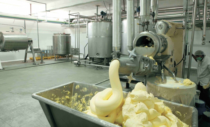Бизнес-план: производство сливочного масла