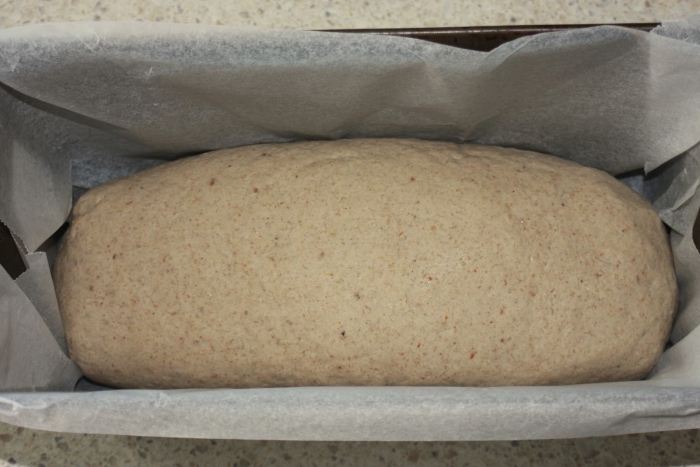 Хлебный бизнес: как открыть хлебный киоск